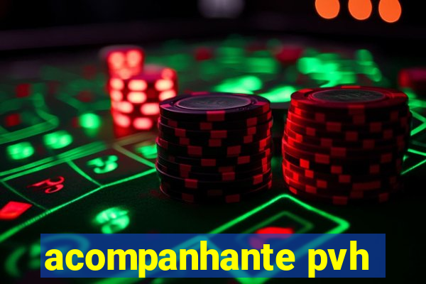 acompanhante pvh